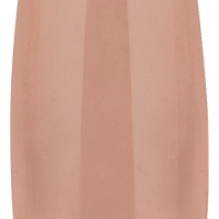 NUDE COLLECTION (6PCS)