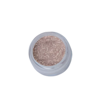 Acrylic Glitter Powder | Treasure