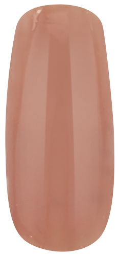 NUDE COLLECTION (6PCS)