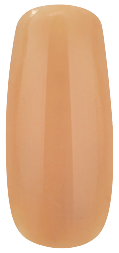 NUDE COLLECTION (6PCS)