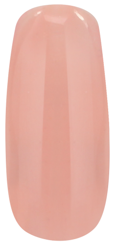 NUDE COLLECTION (6PCS)