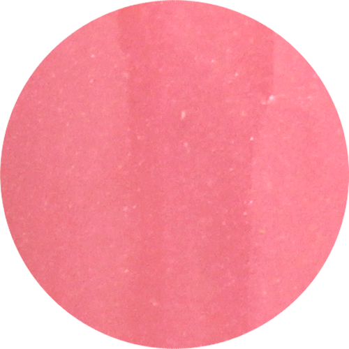 COLOR PUNCH  ACRYLIC POWDER 6 PCS