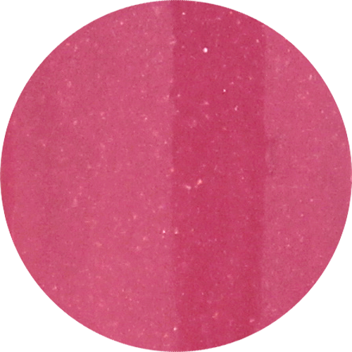 COLOR PUNCH  ACRYLIC POWDER 6 PCS
